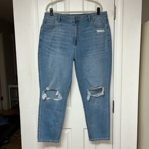 American Eagle Plus Size Distressed Denim Mom Jeans